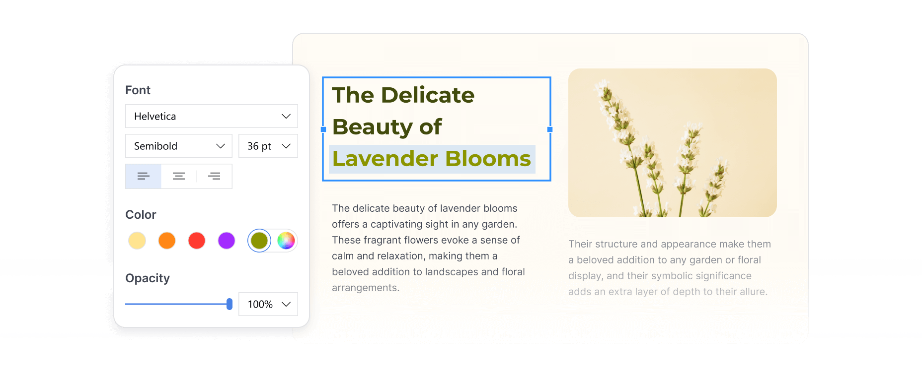 Customize Text Appearance